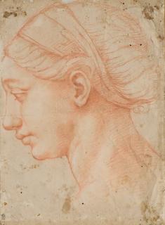 Raffaellino Del Colle - Tête De Femme