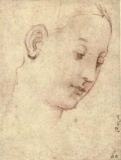 Raffaello Sanzio - Head of The Madonna, In Three-Quarter Profile To The Right