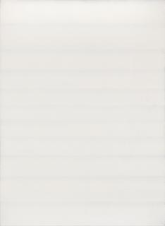 Raimund Girke - Weisses Bild