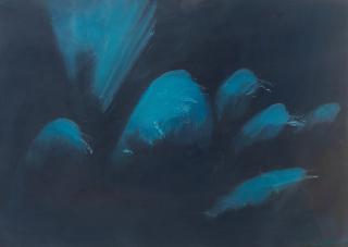 Raja Changez Sultan - Himalayan Odyssey