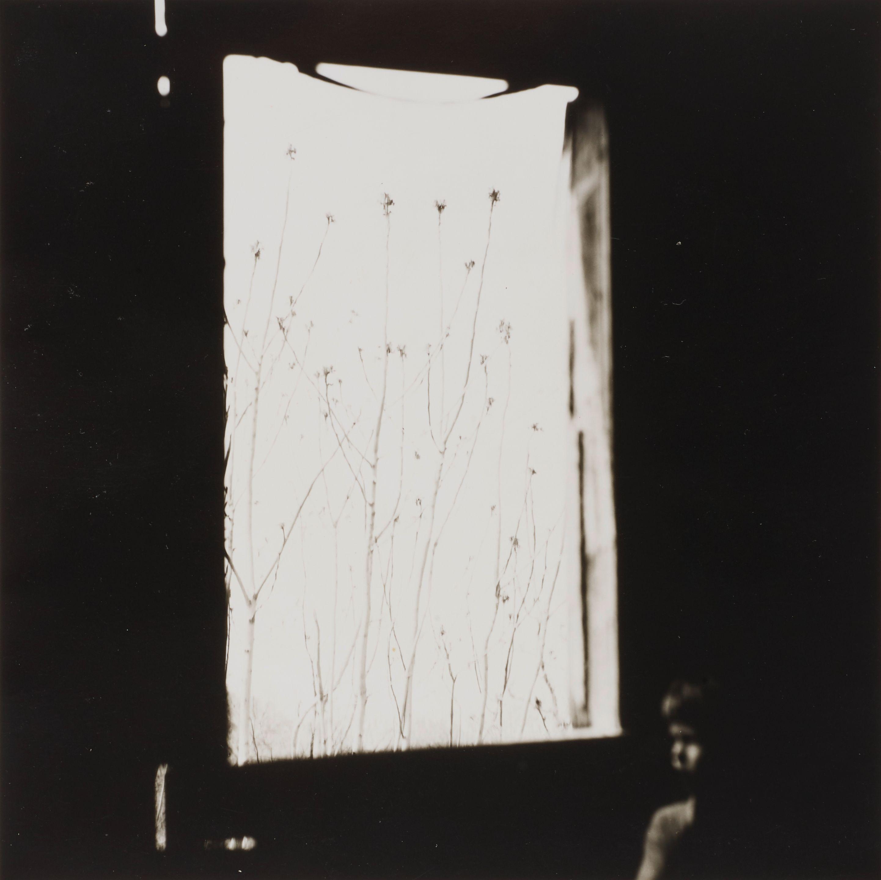 Ralph Eugene Meatyard - Untitled (Boy By Window)