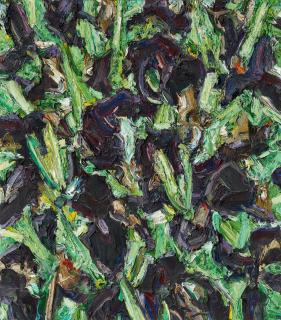 Ralph Fleck - Feldstück 12/III IRIS