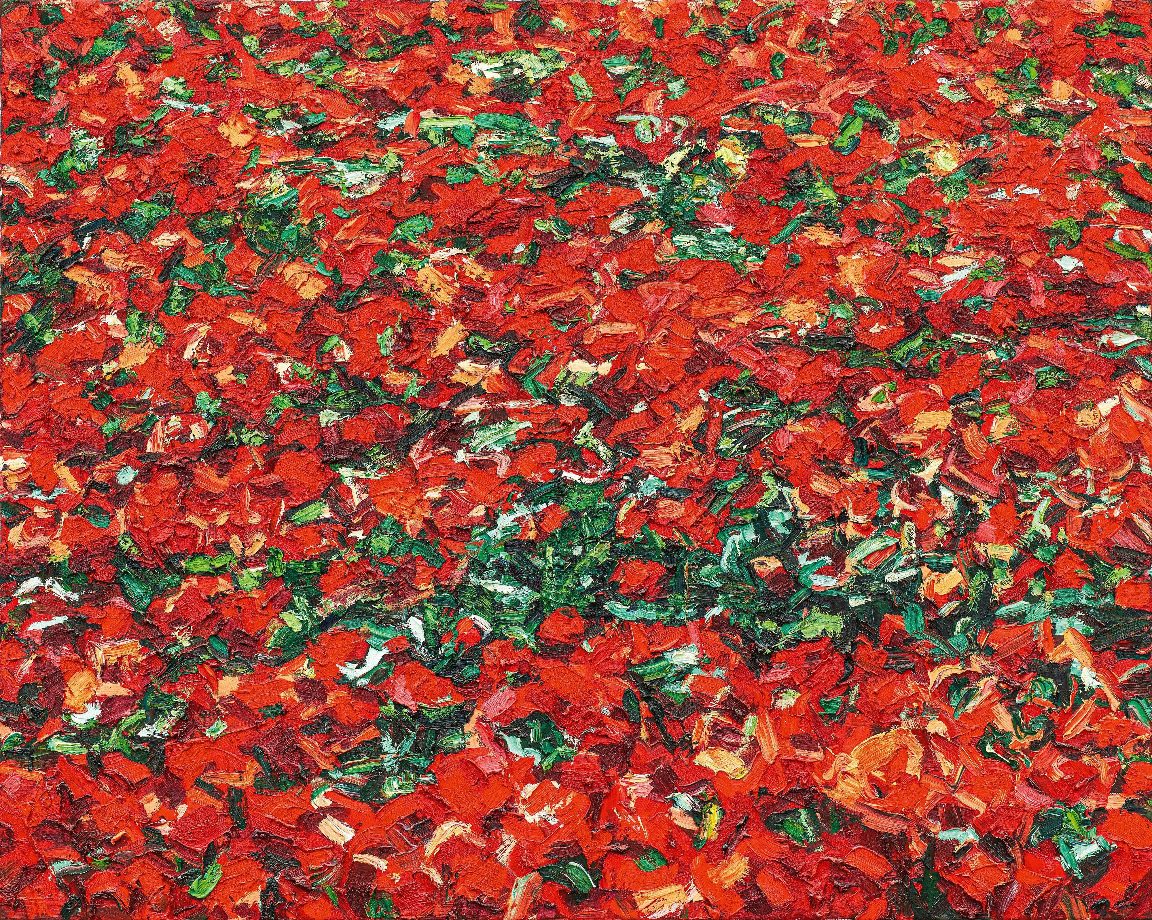 Ralph Fleck - Feldstück 13/IX