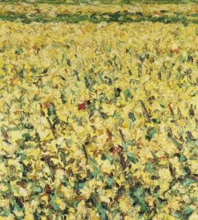 Ralph Fleck - Rapsfeld