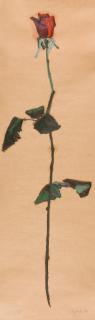 Ralph Fleck - Rose 2/VII