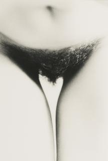 Ralph Gibson - Nude (Space Through Legs)