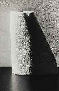 Ralph Gibson - Ohne Titel (aus der Serie: In Situ)