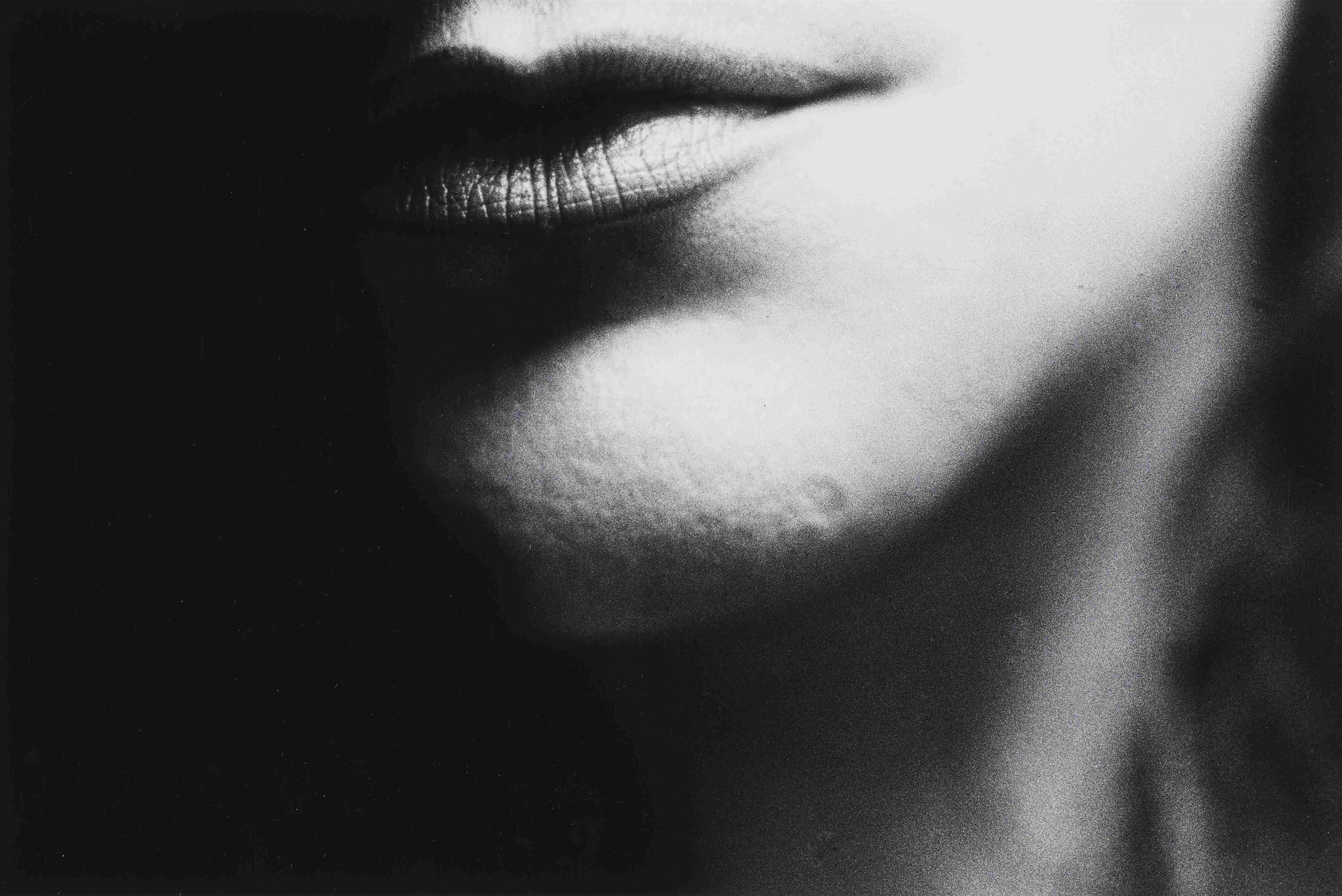Ralph Gibson - Ohne Titel (aus der Serie: In Situ)