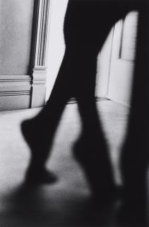 Ralph Gibson - Ohne Titel (aus der Serie: In Situ)