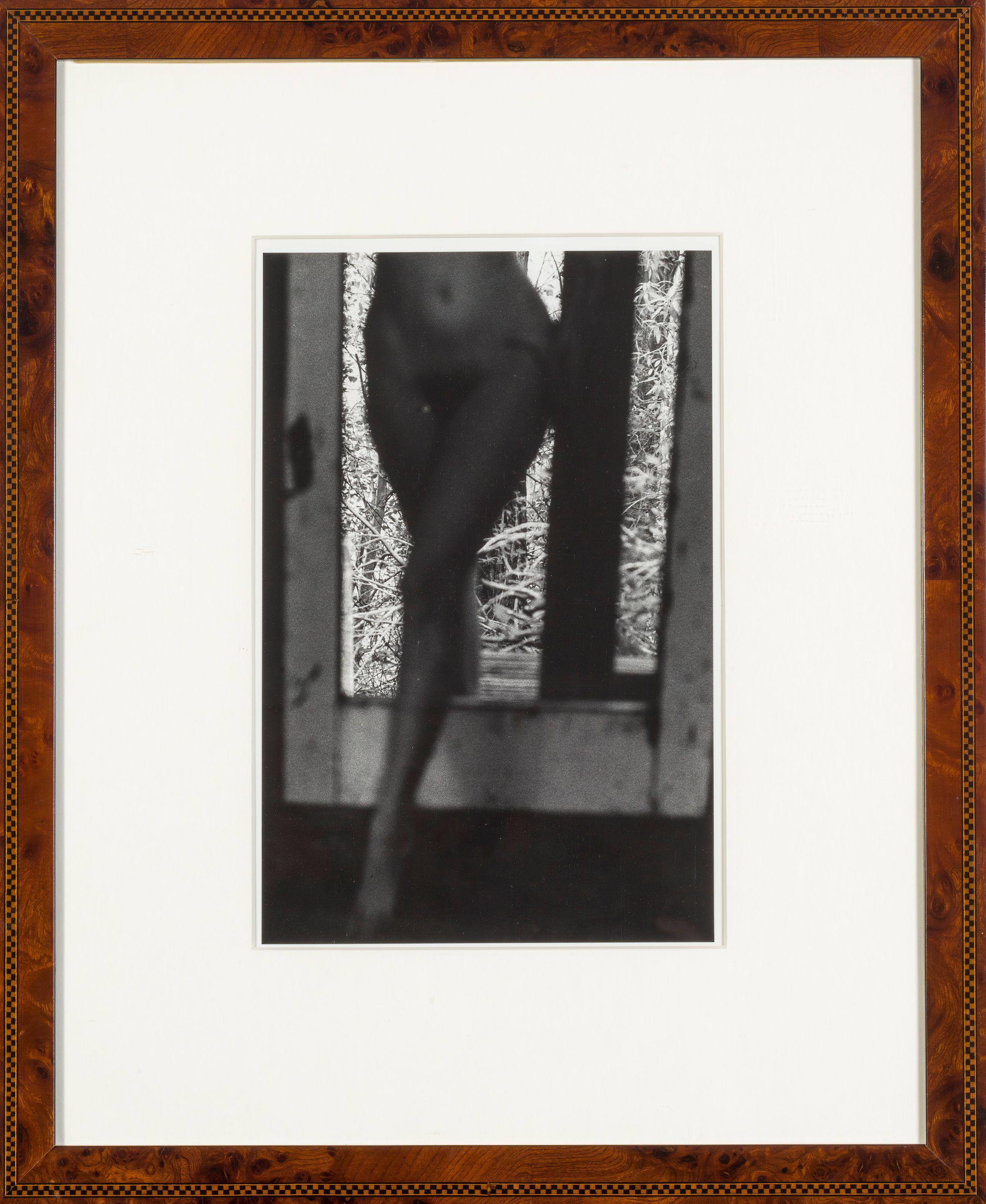 Ralph Gibson - Portrait