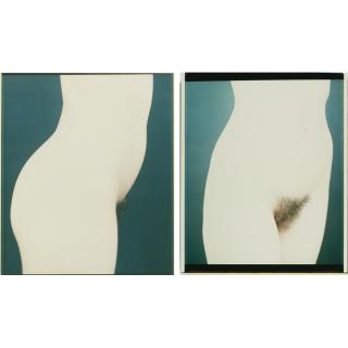 Ralph Gibson - Selected Nude Studies Of Lisa