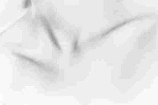 Ralph Gibson - Untitled