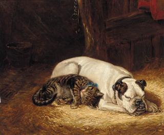 Ralph Hedley - The Artist\'S Pets