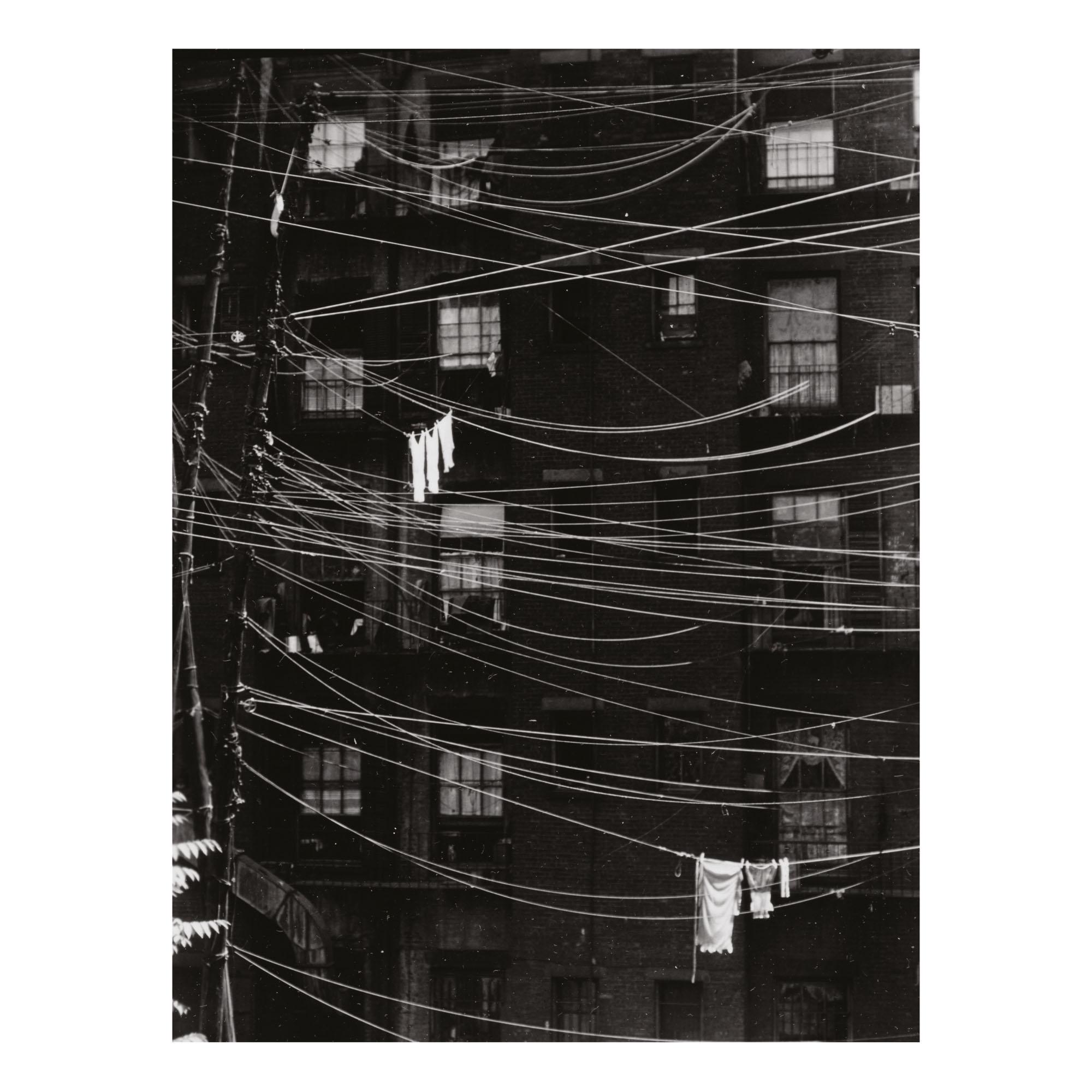 Ralph Steiner - Portfolio Ii