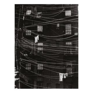 Ralph Steiner - Portfolio Ii