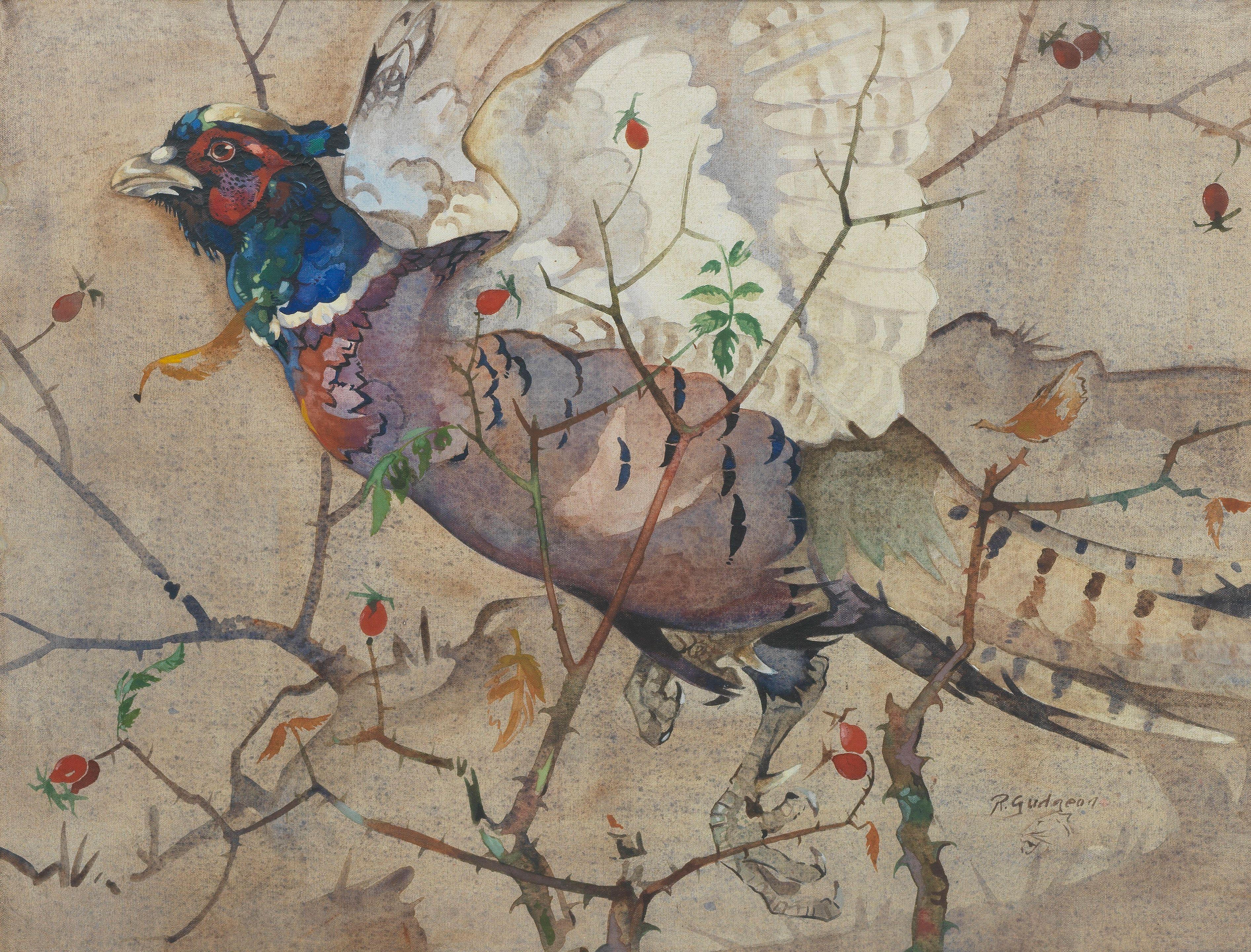 Ralston Gudgeon RSW - King Pheasant; Peacock; Hooded Crow 43 x 54cm (16 15/16 x 21 1/4in) and smaller. (3)