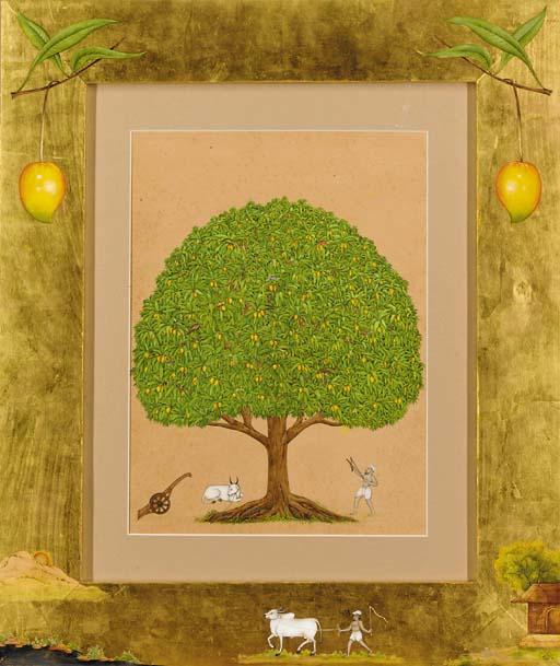 Ramesh Sharma - Mango Tree