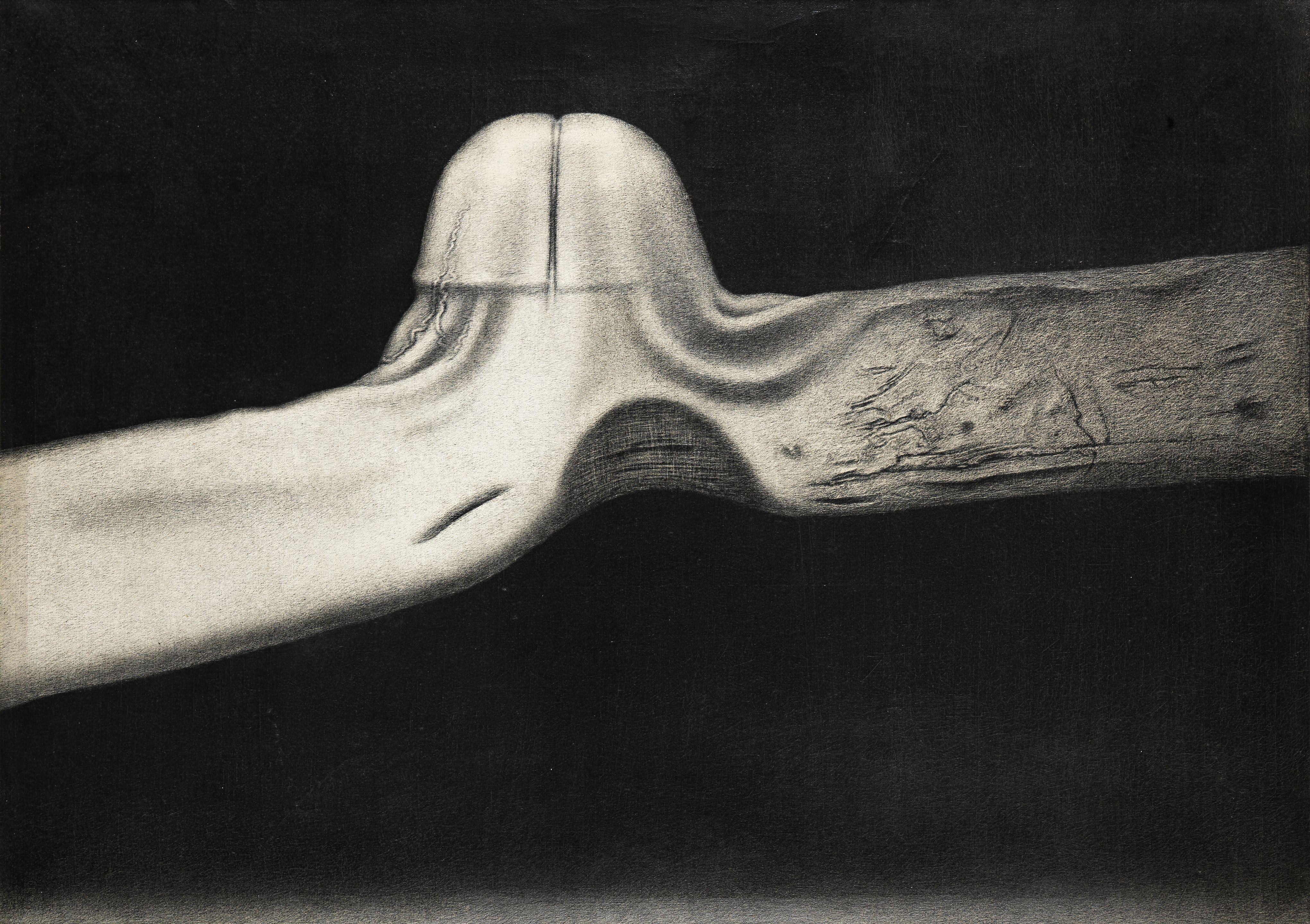 Rameshwar Broota - Metamorphosis - II