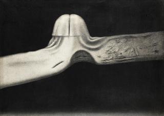 Rameshwar Broota - Metamorphosis - II