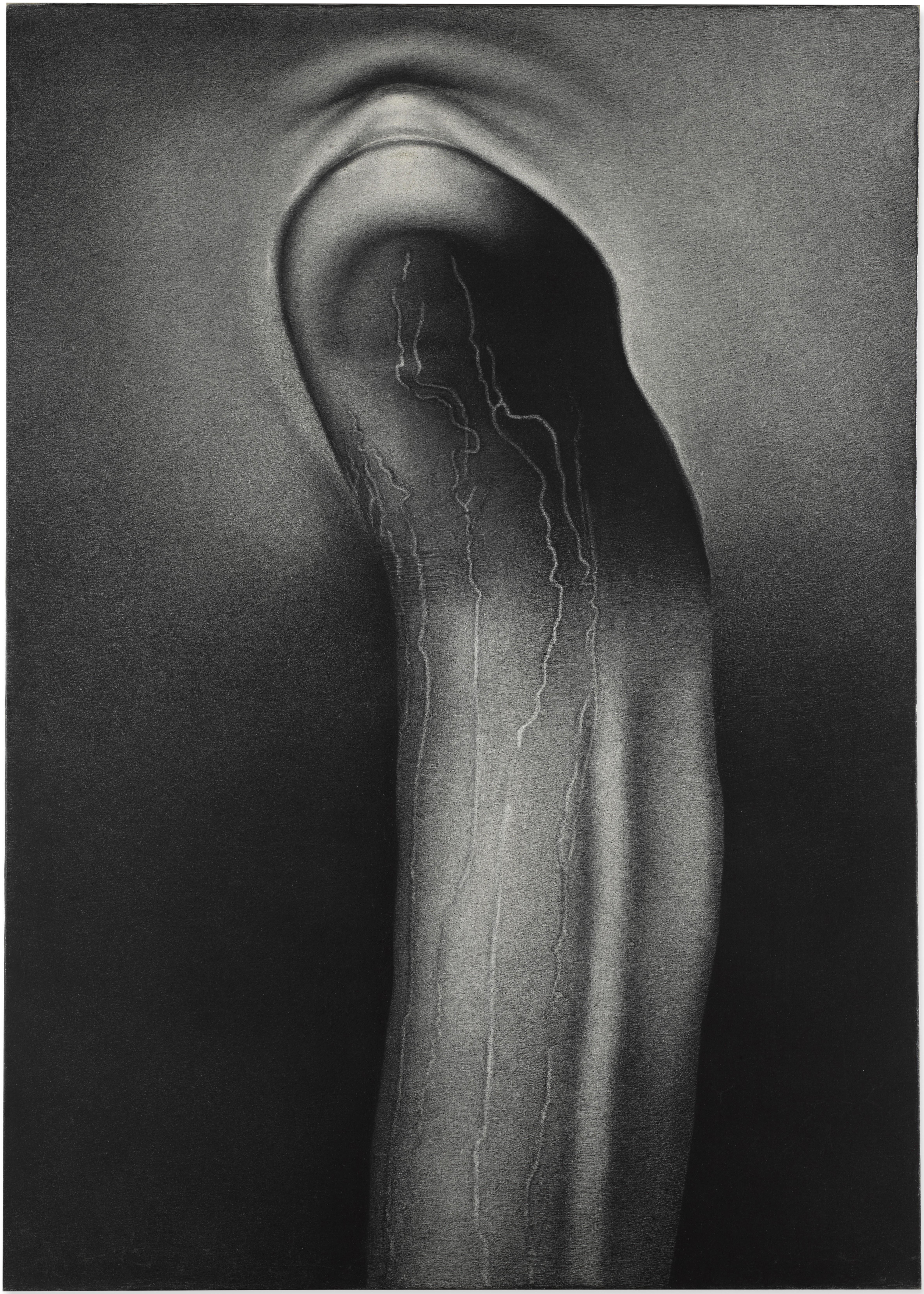 Rameshwar Broota - Metamorphosis - (III)