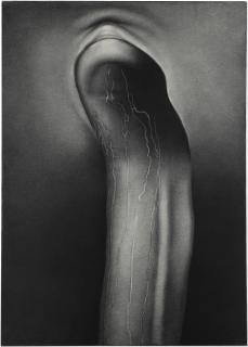 Rameshwar Broota - Metamorphosis - (III)