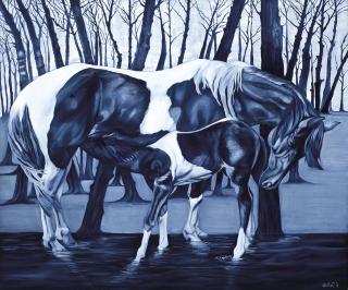 Randy Solon - Blue Madonna