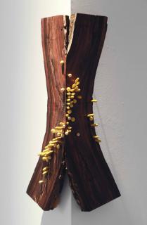 Ranjani Shettar - Remenence from Last Night\'s Dream