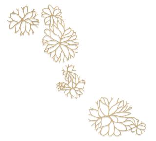 Ranjani Shettar - Stonewalls Bloom