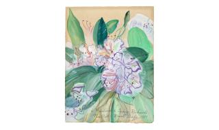 Raoul Dufy - Bouquet aux amaryllis