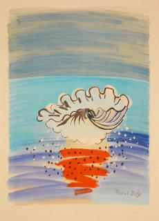 Raoul Dufy - Coquillage