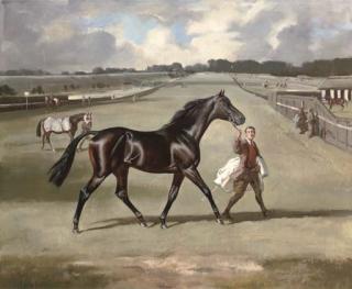 Raoul H. Millais - A Racehorse And Groom, On The July Course, Newmarket