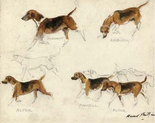 Raoul H. Millais - Favourite Foxhounds: Acrobat, Ambush, Altor, Anwell, Altor