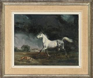 Raoul H. Millais - The grey arab