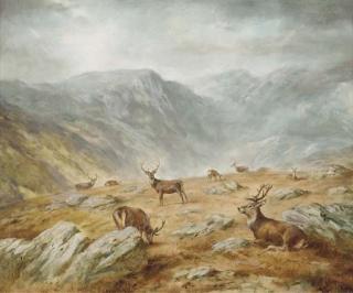 Raoul H. Millais - The sanctuary