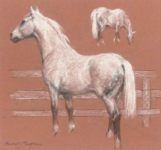 Raoul Millais - Ears pricked: Study of a grey horse in a paddock