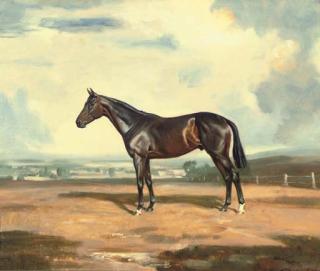 Raoul Millais - Unknown