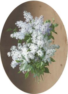 Raoul Paul M. De Longpré - Lilacs