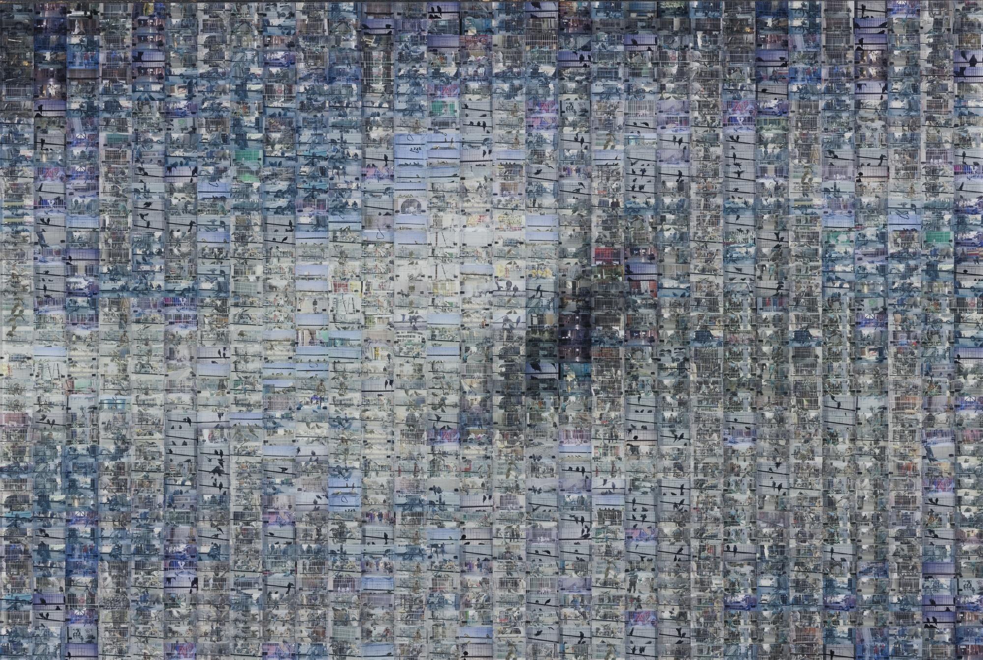 Rashid Rana - Dead Bird Flying - 6