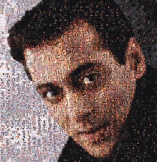 Rashid Rana - Ommatidia II (Salman Khan)