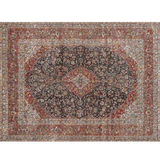 Rashid Rana - Red Carpet - 1