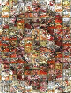 Rashid Rana - Red Carpet - 3