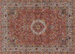 Rashid Rana - Red Carpet III