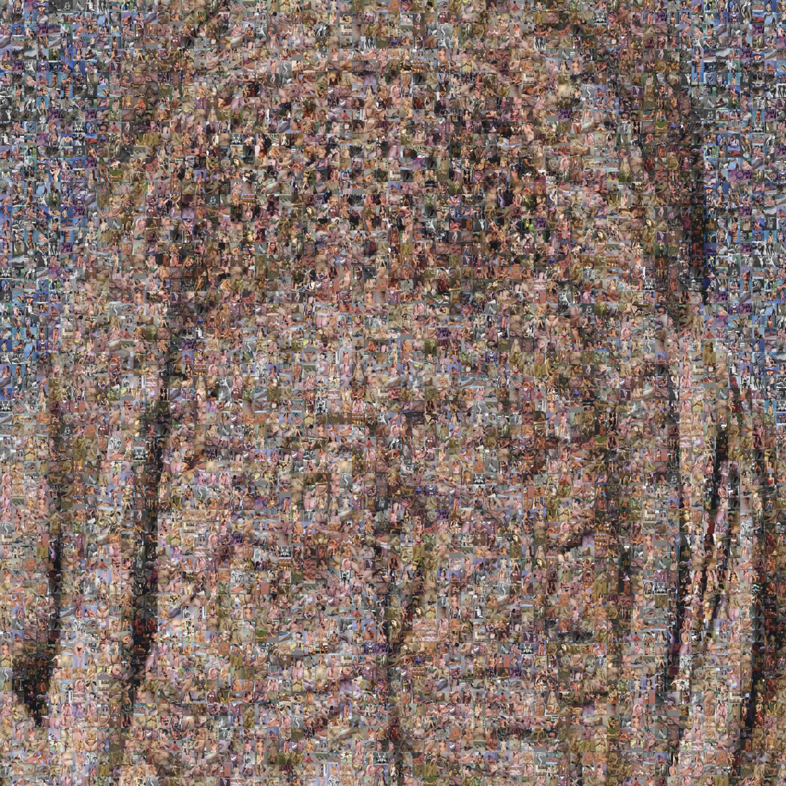 Rashid Rana - Veil III