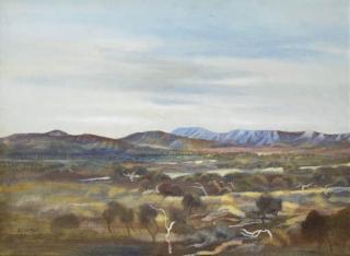 Ray Austin Crooke - Mount Tom Price