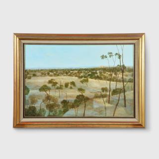 Ray Crooke - The Bluff