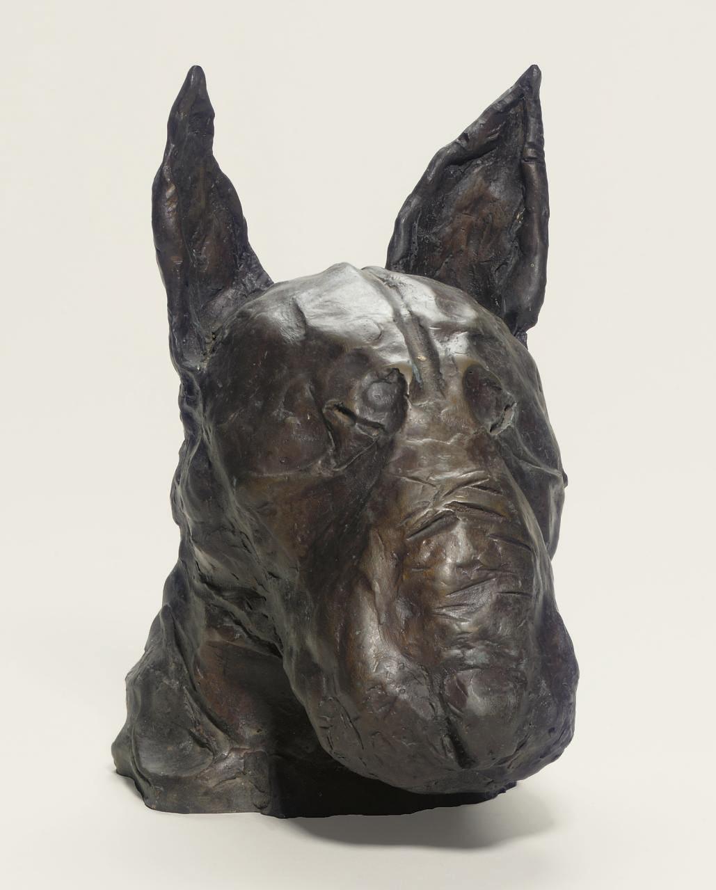 Ray Richardson - Bull-Terrier