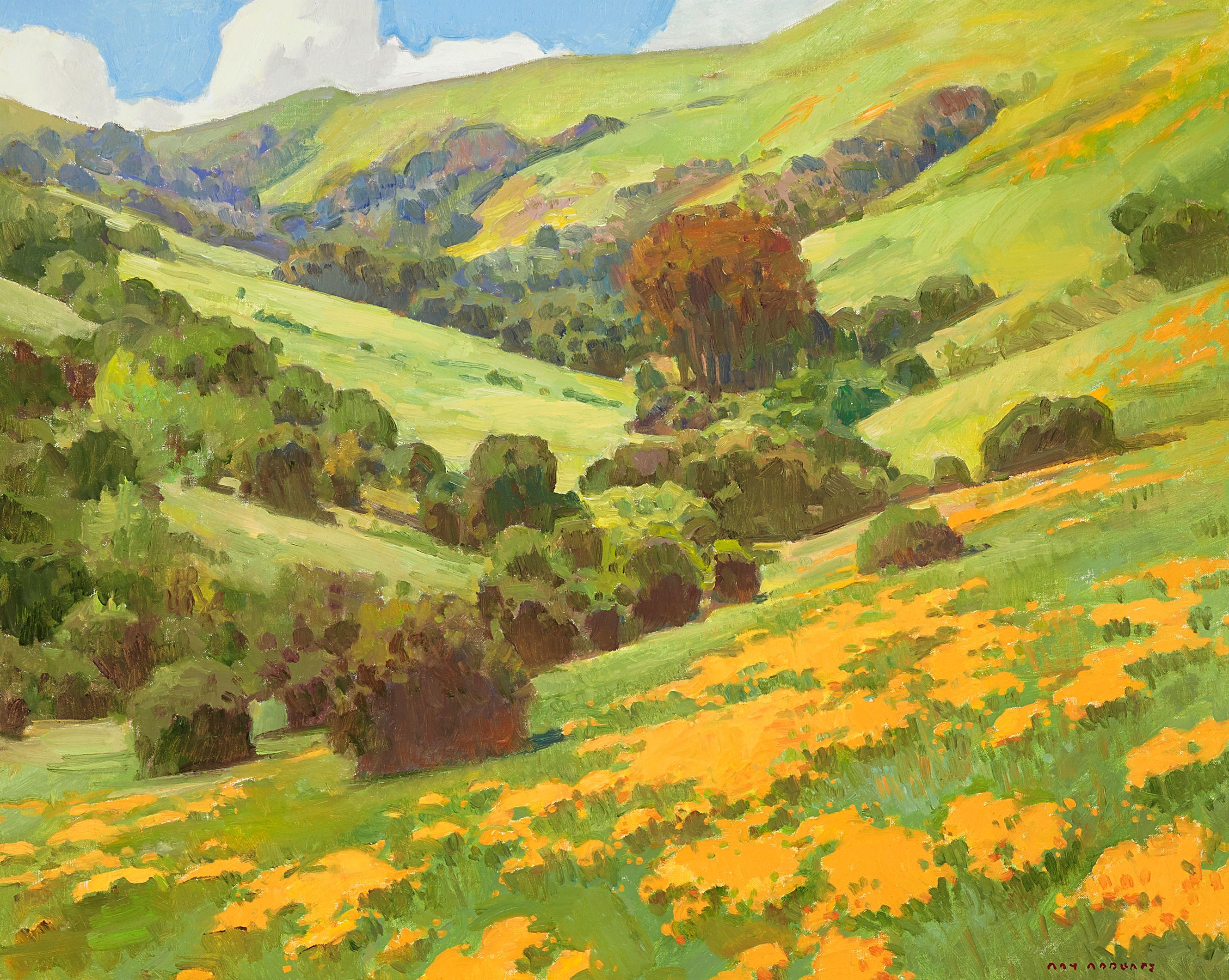 Ray Roberts - Springtime, Coastal Range