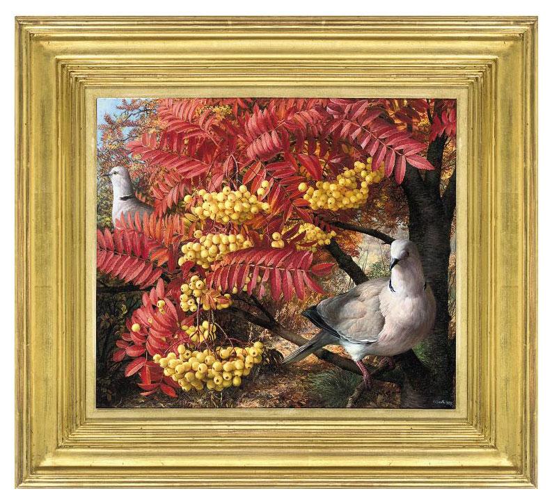 Raymond C. Booth - Collared Doves in Sorbus Joseph Rock