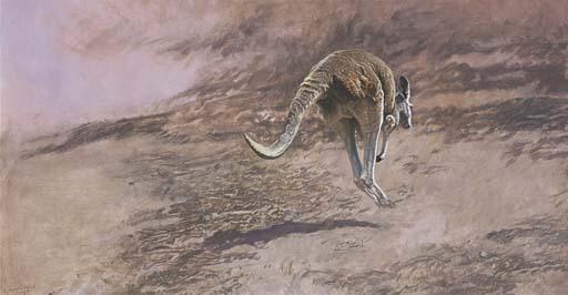 Raymond Harris Ching - Kangaroo