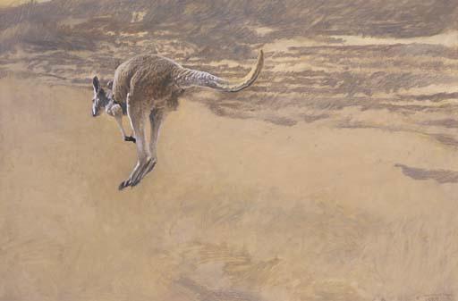 Raymond Harris Ching - Young Red Kangaroo in a Great Continent
